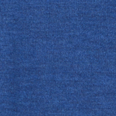 Bleu de Nuremberg