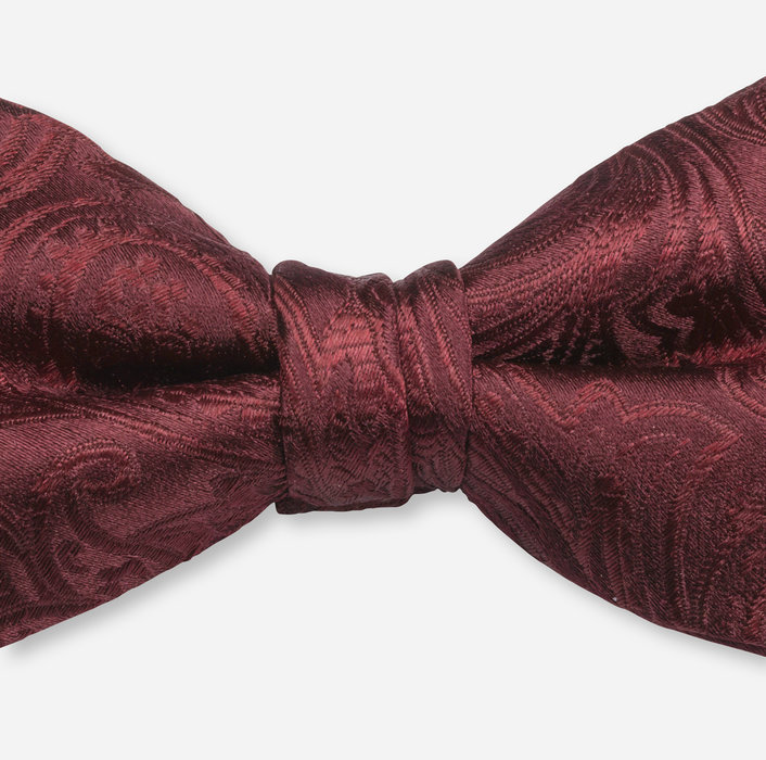 OLYMP Bow tie